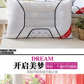 安妮思 14-7方點(diǎn)決明子磁療枕(凱)-頃興貿(mào)易